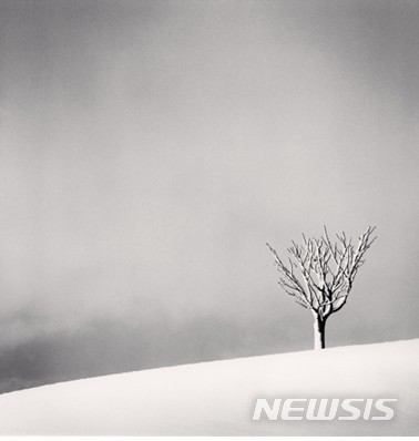  【서울=뉴시스】  Snowfall, Numakawa, Hokkaido, Japan, 2014 ⓒ Michael Kenna 사진제공 공근혜갤러리