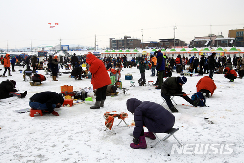 가평 자라섬 씽씽축제. 