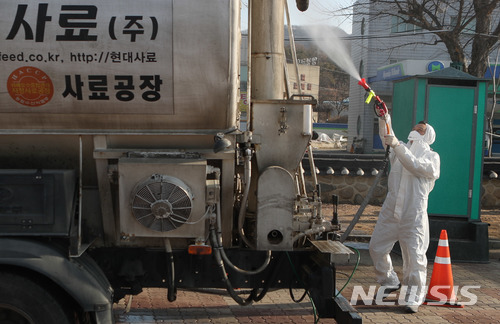 '화들짝' 충북…5만 이상 가금류 농장 AI 일제조사