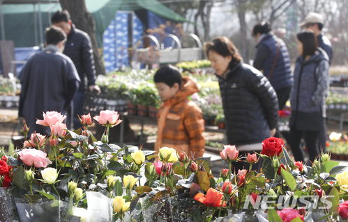 【서울=뉴시스】최진석 기자 = 완연한 봄날씨를 보이고 있는 지난 11일 오전 서울 서초구 양재꽃시장을 찾은 고객들이 꽃을 고르고 있다. 2018.03.11. myjs@newsis.com