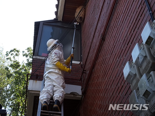 8~9월 벌집제거 출동 8만여건…기록적 폭염에 전년比 13%↓