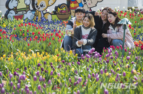 【용인=뉴시스】 이승호 기자 = 에버랜드가 국내 꽃 축제의 서막을 알리는 '튤립 축제'를 16일부터 4월29일까지 45일 동안 연다. 12일 에버랜드 곳곳에 모습을 드러낸 튤립이 봄을 알리고 있다.2018.03.12.(사진 = 에버랜드 제공) photo@newsis.com