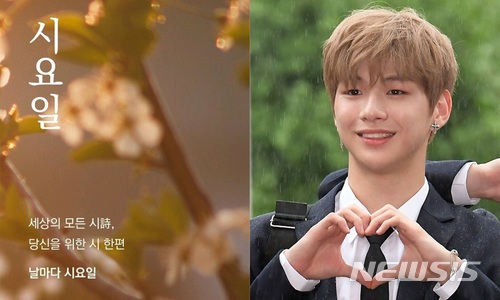 강다니엘이 추천했더니...창비 '시요일' 앱 접속 폭주