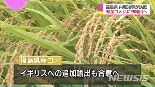 【서울=뉴시스】일본 후쿠시마현산 쌀이 프랑스로 수출될 전망이다. (사진출처:NHK 영상 캡쳐) 2018.03.22.