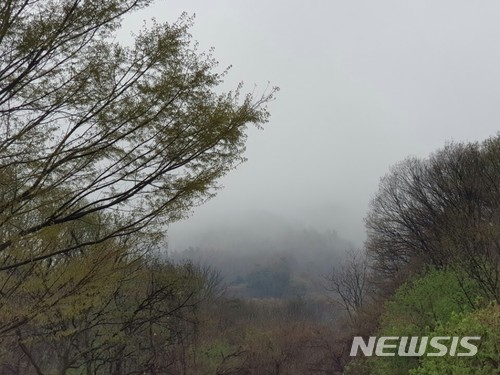 【칠곡=뉴시스】박준 기자 = 5일 오후 2시38분께 경북 칠곡군 가산면 학하리 골프장 가산CC 인근에 공군 전투기 F-15K 전투기가 추락했다. 사진은 전투기가 추락한 유학산 모습이다. 2018.04.05(사진=독자 제공)photo@newsis.com