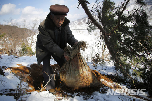 【북한 구장군=AP/뉴시스】 2015년 12월 3일 북한 구장군에서 한 주민이 미군 유해로 추정되는 유골을 수습하고 있다. 2018.04.06