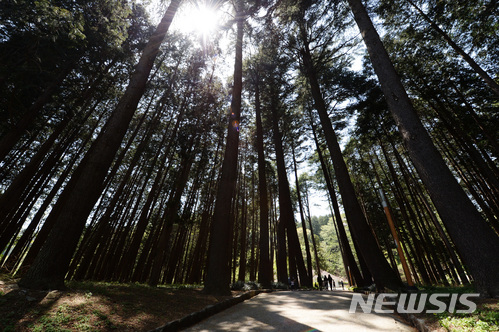 산림청 국립산림품종센터, 산림생명자원 분양합니다