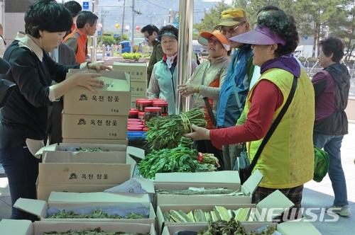 충북 '옥천 참옻 축제' 온라인·오프라인 병행 개최 