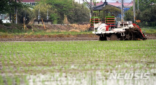 농가 외면에…'쌀 생산조정제' 신청률 고작 66%