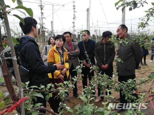  【봉화=뉴시스】김진호 기자 = 지난 23일부터 5일간 일정으로 중국 섬서성 동천시를 방문한 경북 봉화군 농업기술교류단이 동천시의 한 농가를 방문해 특산품 재배현황에 대해 설명을 듣고 있다. 2018.04.25 (사진=봉화군 제공) photo@newsis.com