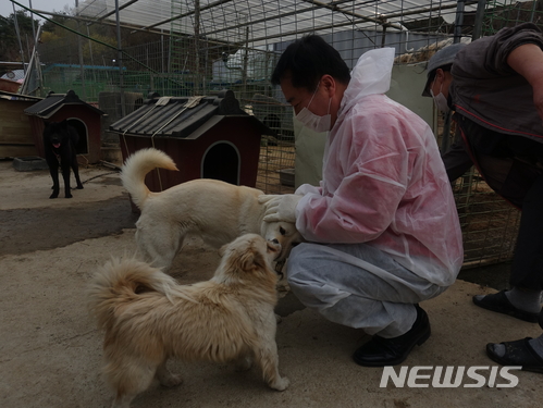  【안동=뉴시스】김진호 기자 = 6·13전국동시지방선거 경북 안동시장에 출마한 자유한국당 권기창 후보가 유기동물보호센터에서 자원봉사를 하고 있다. 2018.05.14 (사진=권기창 후보 선거사무소 제공)photo@newsis.com