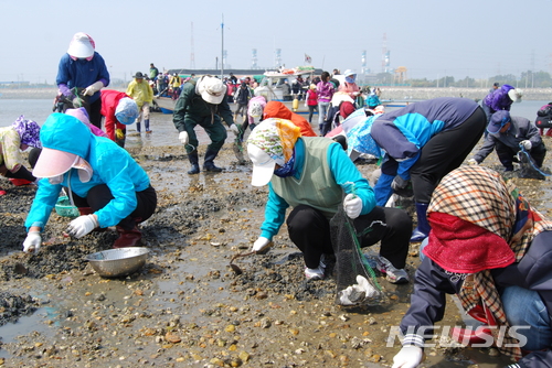 【당진=뉴시스】 지난해 당진 ‘한진포구 바지락 축제’. (사진=당진시청 제공)