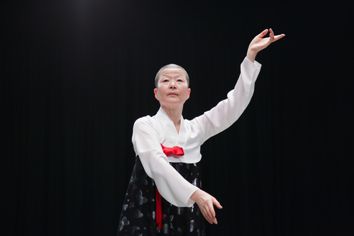 안인미 북한춤