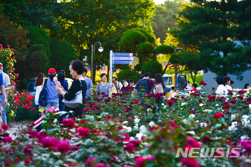 올림픽공원에서 꽃잔치 열리네, 장미정원 27일까지 개방