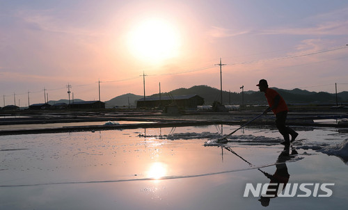 【신안=뉴시스】기사 내용과 무관한 사진임.