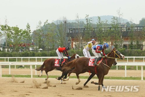 【서울=뉴시스】17일 경기 과천시 렛츠런파크 서울에서 열린 '제18회 농림축산식품부장관배' 대상경주에서 '월드선'(5번)이 가장 먼저 결승선을 통과하고 있다. (사진=한국마사회 제공)