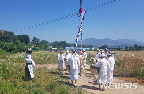 【충주=뉴시스】강신욱 기자 = 22일 충북 충주시 신니면 마수리 들녘에서 충주마수리농요보존회가 마수리농요를 시연하고 있다. 2018.06.22. (사진=충주시 제공) photo@newsis.com