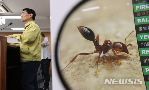 【세종=뉴시스】강종민 기자 = 노수현 농림축산검역본부 식물검역부장이 22일 오전 정부세종청사에서 붉은불개미 유입 확산 방지에 대한 정부의 총력 대응방안을 설명하고 있다. 2018.06.22. ppkjm@newsis.com