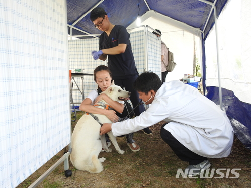 서울 '찾아가는 반려동물 검진센터' 10월까지 운영