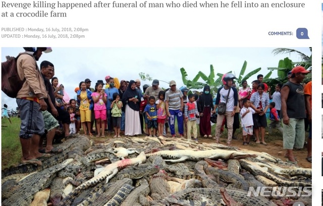 【서울=뉴시스】인도네시아 파푸아주에서 최근 현지 주민 1명이 악어에 물려 사망하자, 주민 수백명이 이에 분노해 지난 14일 악어 300마리를 도살했다. (사진출처: 사우스차이나모닝포스트 홈페이지 캡처) 2018.07.16. 