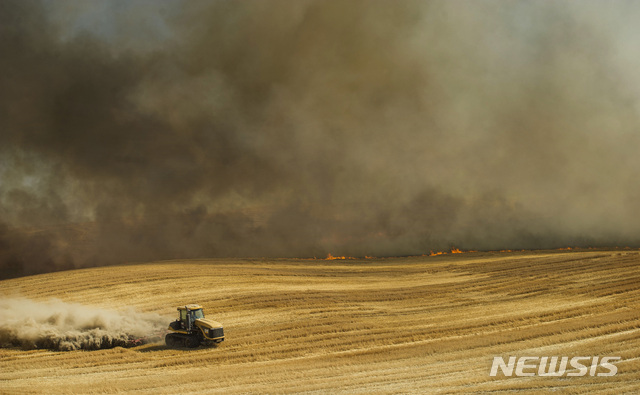 【왈라왈라=AP/뉴시스】미국 워싱턴주 왈라왈라의 밀 밭에서 7월 18일(현지시간) 폭염과 가뭄으로 인해 불길이 번지고 있다. 이날 화재는 밀 수확 중이던 콤바인에서 튄 불꽃이 옮겨 붙으면서 시작됐다. 유럽과 미국에서 폭염과 가뭄으로 밀 수확량이 감소하면서 가격이 상승하고 있다. 2018.08.08 