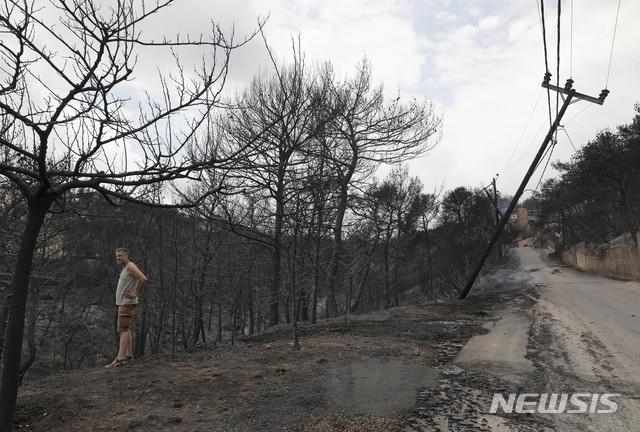 A man stands amongst the charred trees on the side of a road near the village of Neos Voutzas near Athens, Tuesday, July 24, 2018. Greece sought international help through the European Union as fires on either side of Athens left lines of cars torched, charred farms and forests, and sent hundreds of people racing to beaches to be evacuated by navy vessels, yachts and fishing boats.(AP Photo/Yorgos Karahalis)