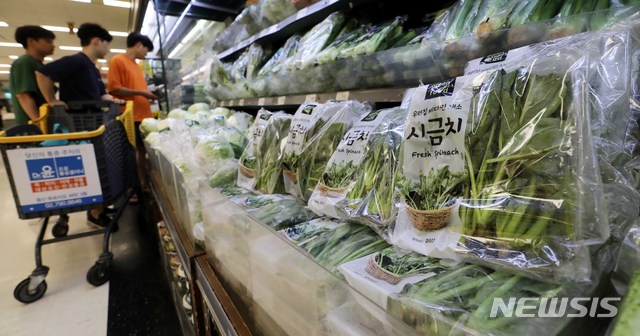 정부 "9월 농산물 가격 큰폭 하락…추석물가 안정세"