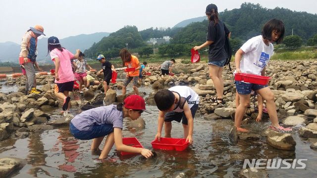 괴산 올갱이축제 개막…사흘간 칠성면 둔율마을서 열려