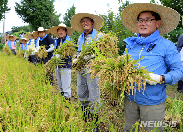  백선기(오른쪽) 칠곡군수가 올해 첫 벼베기를 한 후 수확한 황금벼를 들고 활짝 웃고 있다.