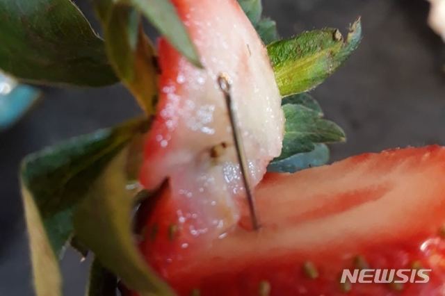 뉴질랜드서 '바늘 딸기' 또 발견…용의자 체포에도 모방범죄