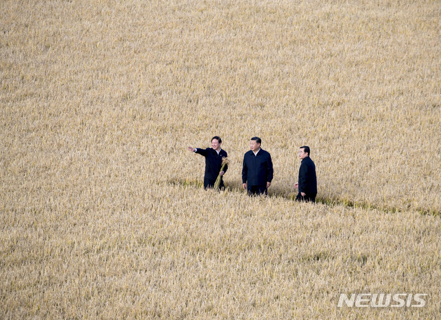 【헤이룽장성=AP/뉴시스】지난 25일 중국 신화통신이 공개한 사진으로, 시진핑 국가주석(가운데)이 이날 동북부 헤이룽장성의 대표 농경지역인 젠산장에서 수확 현황 관련 보고를 듣고 있다. 2018.09.27 