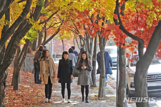 【대구=뉴시스】배소영 기자 = 지난해 대구 동구 팔공산에 단풍이 든 모습. 2018.10.22. (사진=대구시 동구 제공)photo@newsis.com