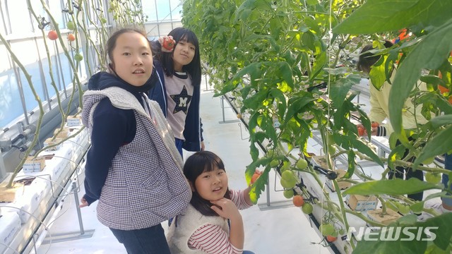 【장수=뉴시스】윤난슬 기자 = 전북 장수군은 지역 행복 나눔의 일환으로 지역아동센터 아동을 대상으로 '토마토 수확체험교육'을 올해 말까지 진행한다고 21일 밝혔다. 2018.10.21.(사진=장수군 제공) photo@newsis.com