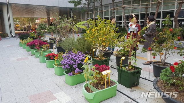 꽃피는 서울 새내기상(금천구 금나래초등학교) 