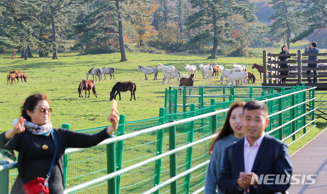 【제주=뉴시스】제주 찾은 관광객. (사진=뉴시스DB)