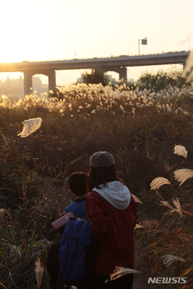 【서울=뉴시스】서울시는 11월 한 달간 한강공원에서 아이들과 함께 참여할 수 있는 생태학습프로그램을 운영한다고 2일 밝혔다. 2018.11.02. (사진=서울시 제공)