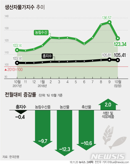【서울=뉴시스】전진우 기자 = 한국은행이 20일 발표한 '2018년 10월 생산자물가지수'에 따르면 지난달 생산자물가지수는 105.41(2010=100기준)로 전월대비 0.4% 하락했다.618tue@newsis.com