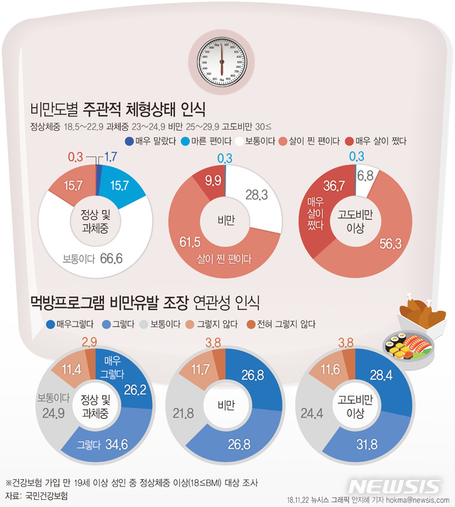국민 10명중 6명 "살이 찐 편"…"먹방이 비만유발 조장"