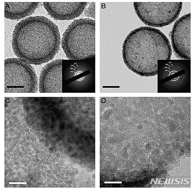 【대전=뉴시스】김양수 기자 = 5㎚ 크기 이산화티타늄 나노입자가 집합체로 모여 이룬 속이 빈 구형태(hollow nanostructure)의 구조(a·c)와 12㎚ 크기 나노입자로 만든 구조(b·d). IBS는 이번 연구에서 5㎚ 크기로 이뤄진 이산화티타늄 나노구조체가 가장 안정적이면서 효율적으로 리튬을 저장하기에 최적화된 구조라는 사실을 밝혀냈다.2018.12.10(사진=IBS 제공) photo@newsis.com