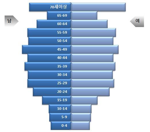 【서울=뉴시스】박대로 기자 =2017년 서울 인구구조 형태. 2018.12.12.(표=서울시 제공)