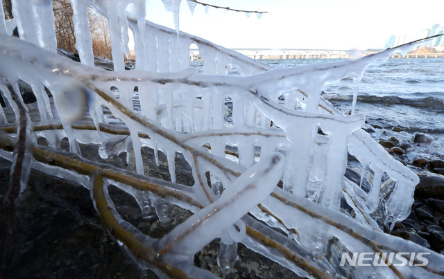 【서울=뉴시스】홍효식 기자 = 전국 대부분 지역에 한파특보가 내려진 29일 오후 서울 여의도 한강변 나뭇가지에 고드름이 달려있다. 2018.12.29.  yesphoto@newsis.com