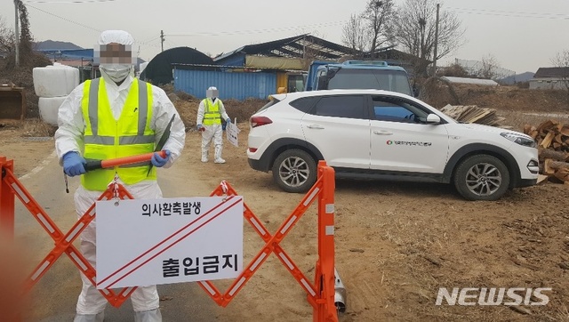 【충주=뉴시스】이병찬 기자 = 31일 간이검사에서 구제역 양성 판정을 받은 충북 충주시 주덕읍 한 축산농가에서 방역본부가 출입을 통제하고 있다. 2019.01.31.  bclee@newsis.com  