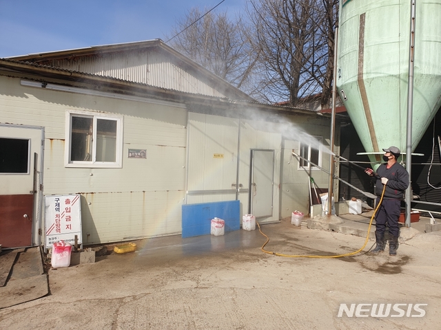 돼지 5000마리를 사육 중인 화성시 양감면 신양농장에서 직원이 축사 입구를 소독하고 있다. (사진제공=신양농장)