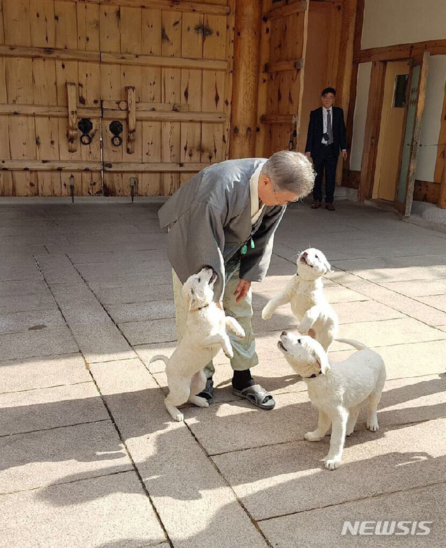 【서울=뉴시스】박진희 기자 = 문재인 대통령이 6일 청와대 관저에서 풍산개 '곰이' 새끼들을 돌보고 있다. 2019.02.06. (사진=청와대 제공) photo@newsis.com