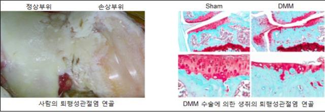 【서울=뉴시스】사진 자료 = 과학기술정보통신부 제공