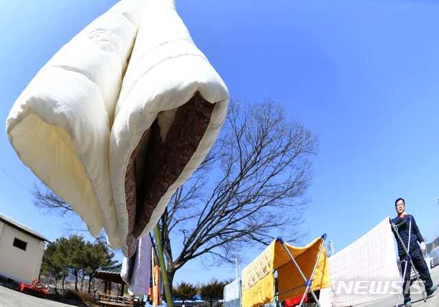 포근한 날씨, 봄기운 완연…미세먼지 '나쁨'