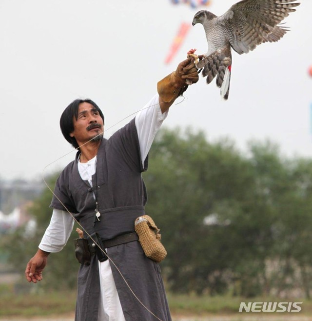 박용순 응사, 매사냥 보유자