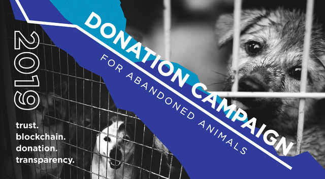 커먼즈 재단, 블록체인 활용 '국내 최초 유기동물 기부 캠페인'