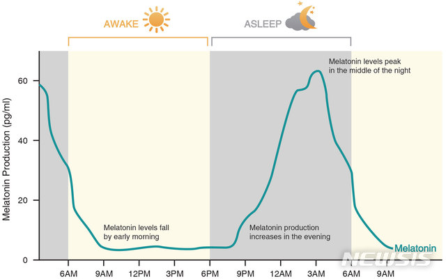 【대전=뉴시스】김양수 기자 = 낮과 밤의 멜라토닌 분비량의 변화 그래프. 멜라토닌은 수면주기를 조절하는 호르몬으로 늦은 오후 수치가 점진적으로 증가해 수면을 유도하고, 이른 오전에는 수치가 감소한다. KAIST는 청백색 조명이 기상 후 멜라토닌 호르몬의 분비를 억제하는데 더 효과적이라는 것을 확인했다.2019.02.27(사진=KAIST 제공) photo@newsis.com