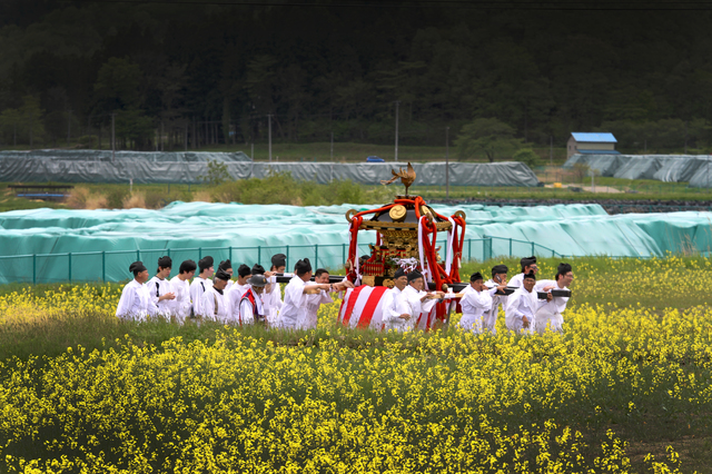 2018년 5월3일 후쿠시마 제1 원자력발전소에서 수십 킬로미터 떨어진 이타테 마을에서 10년 만에 대제가 열렸다. 신사에서 출발한 미코시(가마)가 농경지 보존을 위한 유채꽃밭과 방사능으로 오염된 흙이 쌓인 임시 적치장 사이를 지나가고 있다. ⓒ도요다 나오미